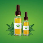 Why Choose eCommerce Store for Your CBD Needs